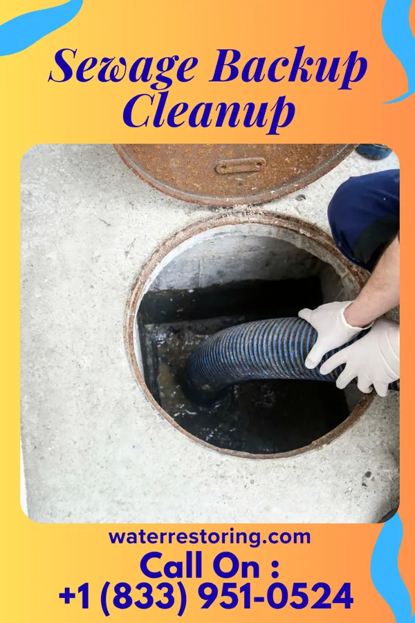 Sewage Backup Cleanup in Langley, OK